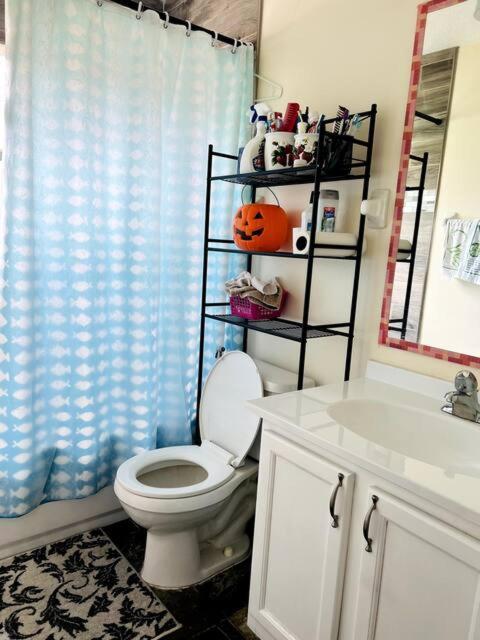 Room In Citrus Park And Carollwood, Close To The Airport & Downtown Tampa Ngoại thất bức ảnh