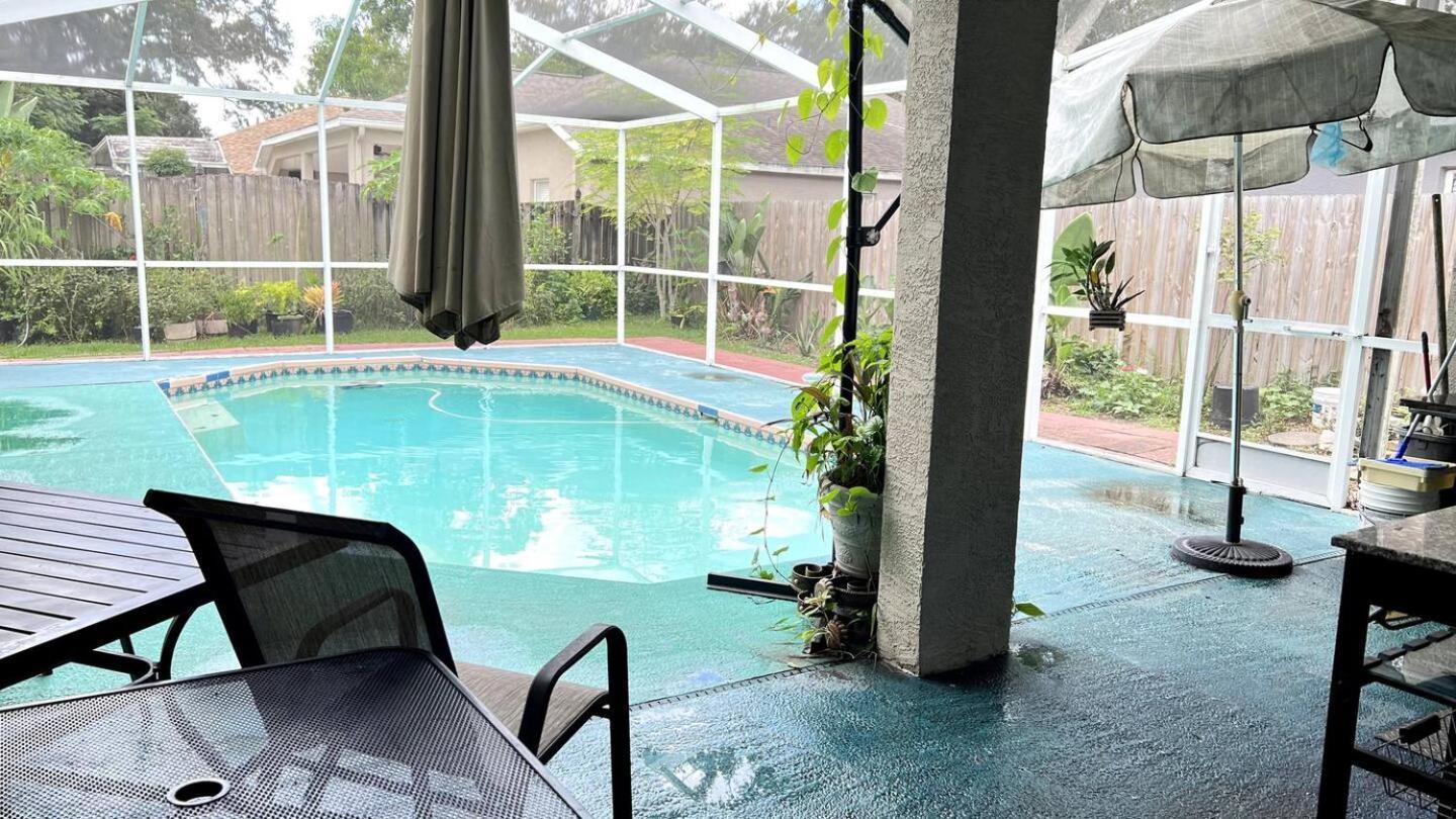 Room In Citrus Park And Carollwood, Close To The Airport & Downtown Tampa Ngoại thất bức ảnh