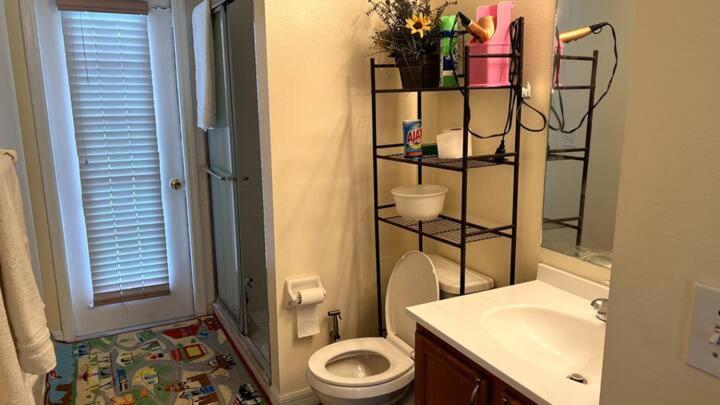 Room In Citrus Park And Carollwood, Close To The Airport & Downtown Tampa Ngoại thất bức ảnh